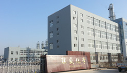 Zhejiang Realsun Chemical Industry Co.,Ltd.